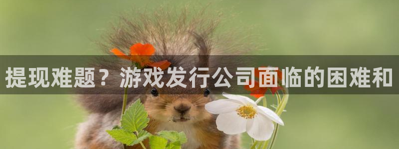 亿万28子经理人杂志：提现难题？游戏发行公司面临的困难和