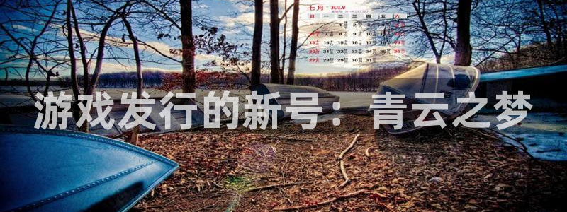 亿万28商标：游戏发行的新号：青云之梦