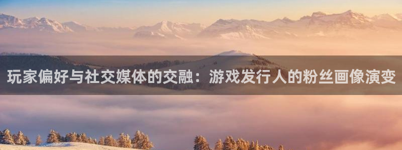亿万28技术有限公司招聘：玩家偏好与社交媒体的交融：游戏发行人的粉丝画像演变