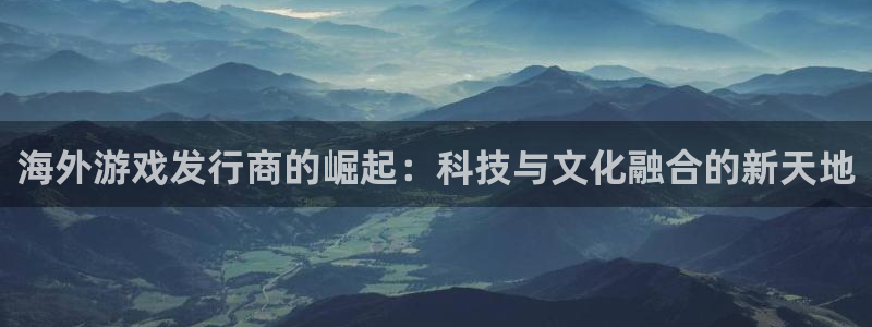 亿万28子财经图书：海外游戏发行商的崛起：科技与文化融合的新天地