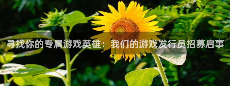 亿万28庄园：寻找你的专属游戏英雄：我们的游戏发行员招募启事