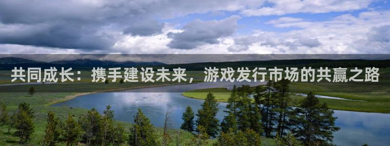 亿万28男装品牌：共同成长：携手建设未来，游戏发行市场的共赢之路