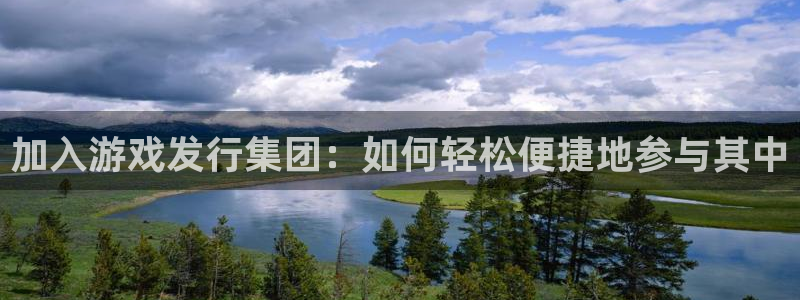 亿万28子年度最佳图书：加入游戏发行集团：如何轻松便捷地参与其中