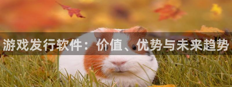 亿万28子上市：游戏发行软件：价值、优势与未来趋势