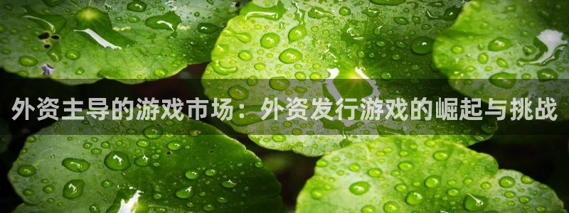 广州亿万28电子商务：外资主导的游戏市场：外资发行游戏的崛起与挑战