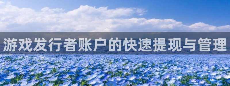 亿万28集团是什么企业：游戏发行者账户的快速提现与管理