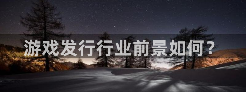 亿万28子图书：游戏发行行业前景如何？