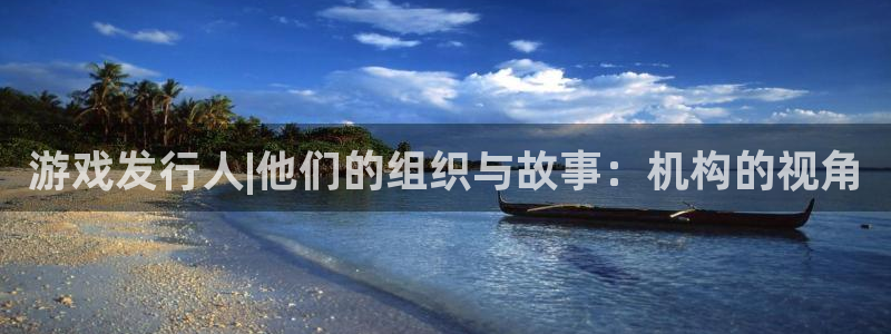 亿万28仓储中心：游戏发行人|他们的组织与故事：机构的视角