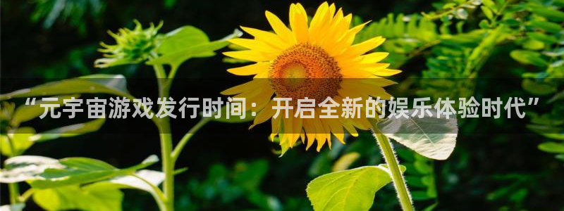 亿万28官网是什么娱乐?