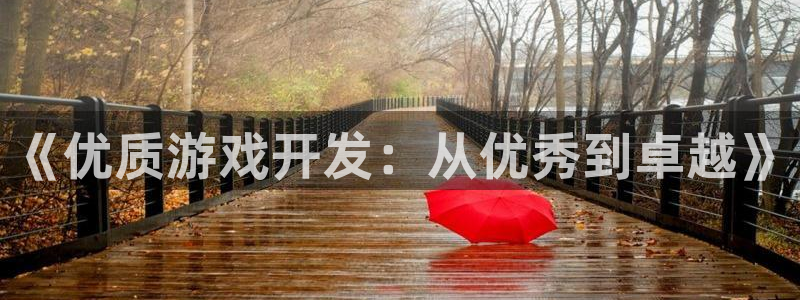 亿万28官网客服服务怎么样：《优质游戏开发：从优秀到卓越》