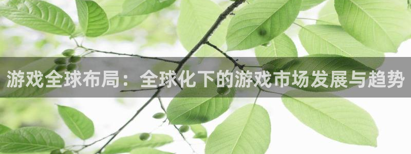 亿万28男装品牌：游戏全球布局：全球化下的游戏市场发展与趋势