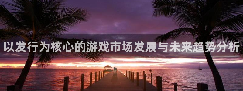 亿万28龙：以发行为核心的游戏市场发展与未来趋势分析