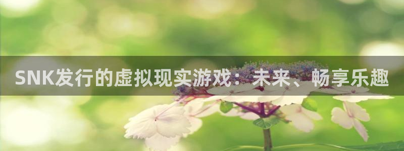 亿万28球队：SNK发行的虚拟现实游戏：未来、畅享乐趣