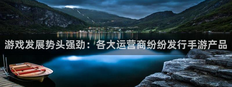 亿万28子年度最佳图书：游戏发展势头强劲：各大运营商纷纷发行手游产品