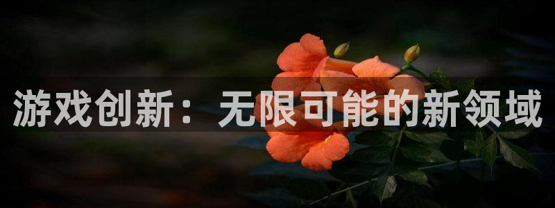 佛山亿万28：游戏创新：无限可能的新领域