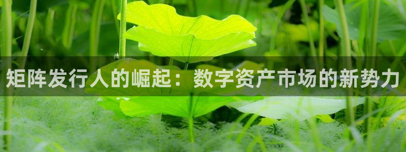 亿万28子公司怎么样知乎