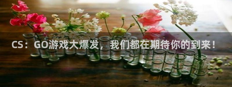 亿万28官网游戏