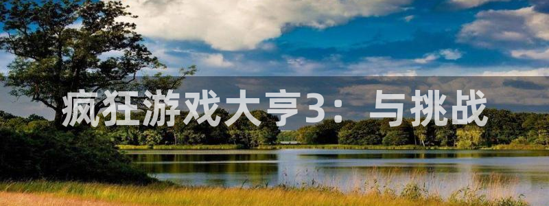 亿万28子经理人：疯狂游戏大亨3：与挑战