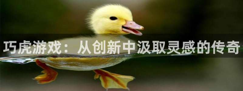 亿万28官网注册平台是什么公司：巧虎游戏：从创新中汲取灵感的传奇